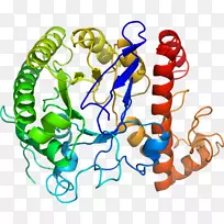 人体行为人体珠宝剪贴画珠宝首饰-空若网 人体行为人体珠宝剪贴画珠宝首饰-空若网