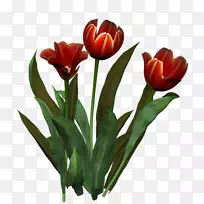 �����㻨���л�������-������