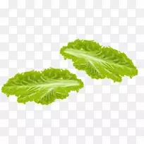 �߲������߲�-������