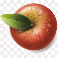 Æ»¹û²åͼ-Æ»¹û-¿ÕÈôÍø Æ»¹û²åͼ-Æ»¹û-¿ÕÈôÍø