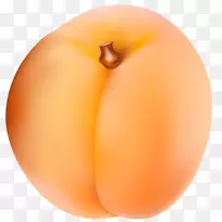 �ӹ�ɫ��-��ͨ���ӻ���-������