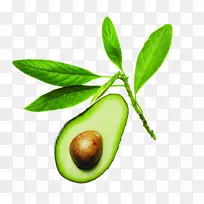 Ö¸¼×ÓÍ.öùÀæÔªËØ-¿ÕÈôÍø Ö¸¼×ÓÍ.öùÀæÔªËØ-¿ÕÈôÍø