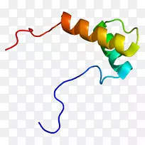 �ߵ������������-������