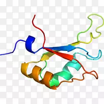线点生物剪贴画线-空若网 线点生物剪贴画线-空若网