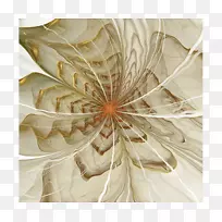 花瓣花卉摄影-空若网 花瓣花卉摄影-空若网