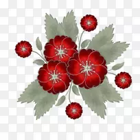 ��ݮ���������ܼ�����-��ݮ-������