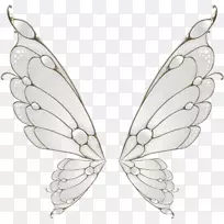 蝴蝶翅膀飞行飞蛾-涂上白色蝴蝶翅膀-空若网 蝴蝶翅膀飞行飞蛾-涂上白色蝴蝶翅膀-空若网
