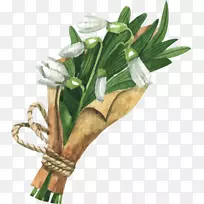 ˮ�ɻ�������ɫˮ�ɻ���-������