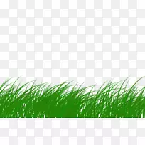 昆虫草坪电脑字体-昆虫-空若网 昆虫草坪电脑字体-昆虫-空若网