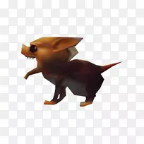 犬种鼻犬-空若网 犬种鼻犬-空若网