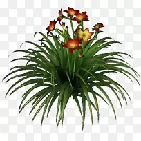 ʷ����-������