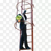 阶梯树-小巷猫种族-空若网 阶梯树-小巷猫种族-空若网