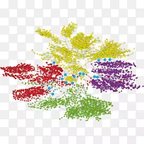 ��������ѧ����������ѧ��ѧ-��������-������