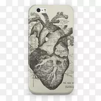 科维茨网络解剖心脏.ch plakat nokowy-案例-空若网 科维茨网络解剖心脏.ch plakat nokowy-案例-空若网