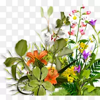 ������԰õ�廨-��԰ֲ��-������