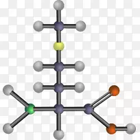 ֧���������춬�����Ұ��ᰱ����-������