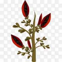 种子植物剪贴画-红色植物-空若网 种子植物剪贴画-红色植物-空若网