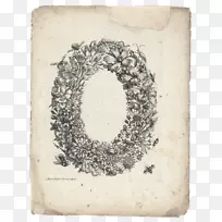 苏利南蜂花的昆虫-空若网 苏利南蜂花的昆虫-空若网