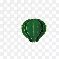 仙人掌-空若网 仙人掌-空若网