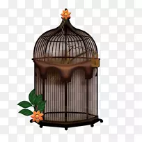 ������-������