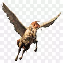 飞马-空若网 飞马-空若网