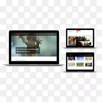 ��ʾװ�ö�ý����ʾ���������-������