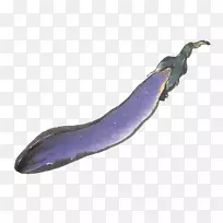 紫茄子蔬菜下载-鲜茄子-空若网 紫茄子蔬菜下载-鲜茄子-空若网