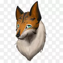 胡须红狐猫鼻子猫-空若网 胡须红狐猫鼻子猫-空若网