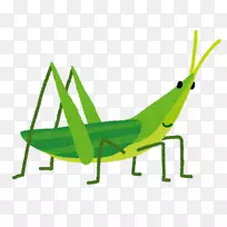 �ȳ�ʳ���ն�-������