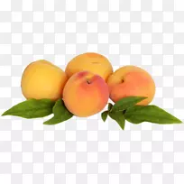 桃桃-空若网 桃桃-空若网