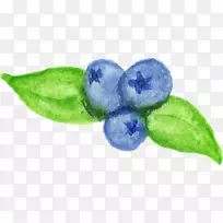 越橘开花植物叶-空若网 越橘开花植物叶-空若网