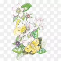 ������-������