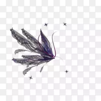 À¥³æ-¿ÕÈôÍø À¥³æ-¿ÕÈôÍø