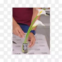 拇指塑料设计-空若网 拇指塑料设计-空若网