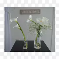 ������ƻ�ƿ�л�������ƿ-������