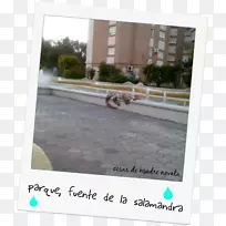 窗地板/m/083 vt木表-窗-空若网 窗地板/m/083 vt木表-窗-空若网