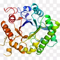 人体珠宝有机体线条剪贴画.珠宝-空若网 人体珠宝有机体线条剪贴画.珠宝-空若网