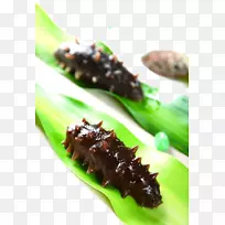 海参为食品,海产品库达尼成分-健康海参-空若网 海参为食品,海产品库达尼成分-健康海参-空若网