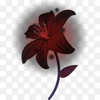 紫红色开花植物-天堂花-空若网 紫红色开花植物-天堂花-空若网