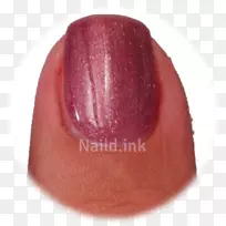 ָ�������ɫ-������