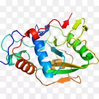 线点生物剪贴画线-空若网 线点生物剪贴画线-空若网