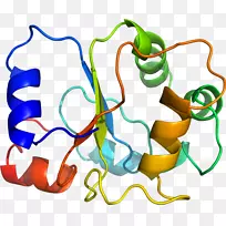 蔬菜有机体系列剪贴画-蔬菜-空若网 蔬菜有机体系列剪贴画-蔬菜-空若网