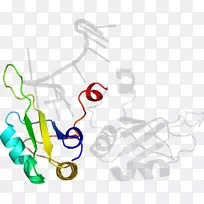 线点剪贴画-线-空若网 线点剪贴画-线-空若网