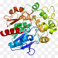 人体珠宝有机体线条剪贴画.珠宝-空若网 人体珠宝有机体线条剪贴画.珠宝-空若网