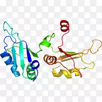 线点生物剪贴画线-空若网 线点生物剪贴画线-空若网