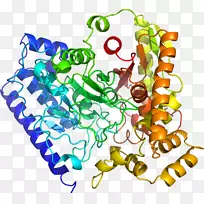 艺术身体珠宝有机体剪贴艺术珠宝首饰-空若网 艺术身体珠宝有机体剪贴艺术珠宝首饰-空若网