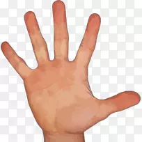 ��ָ������.��ָ-������