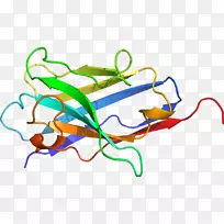 �ߵ������������-������