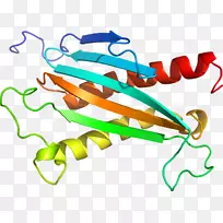 生物线动物剪贴画线-空若网 生物线动物剪贴画线-空若网
