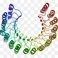 人体首饰有机体线剪贴画线-空若网 人体首饰有机体线剪贴画线-空若网